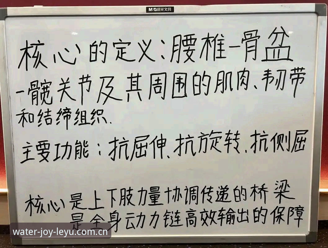 从入门到精通:我的乐鱼体育最新版对比使用心得